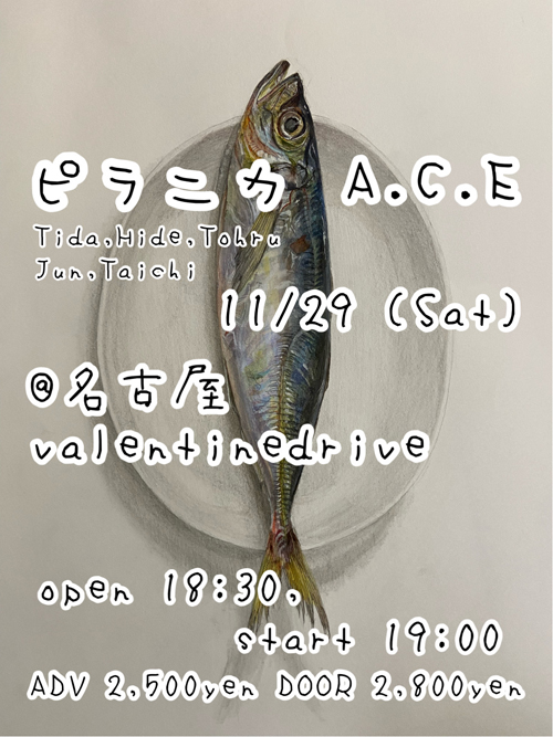 ピラニカ・ACE